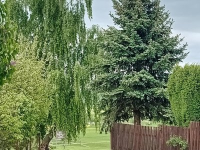 Škola v přírodě, 4. den