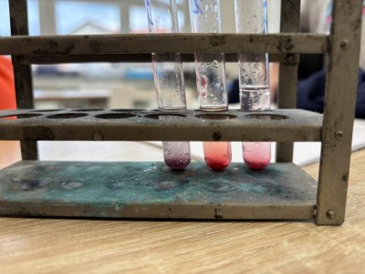 PŘÍRODOVĚDNÝ KROUŽEK: BARVIVO BORŮVEK