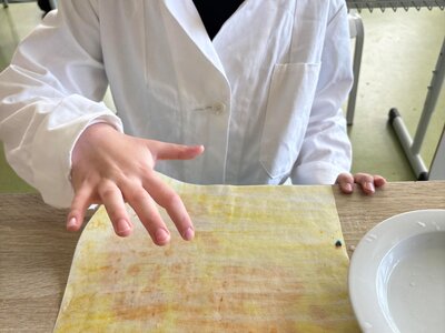 PŘÍRODOVĚDNÝ KROUŽEK: POKUSY S KURKUMOU